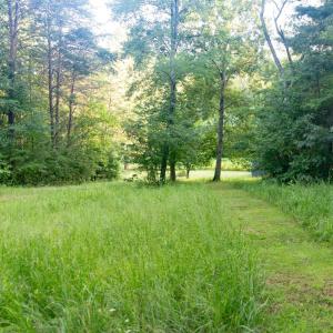 Photo #53 of 1269 Peters Creek, Big Island, VA 16.7 acres
