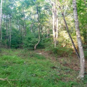 Photo #52 of 1269 Peters Creek, Big Island, VA 16.7 acres