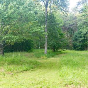 Photo #50 of 1269 Peters Creek, Big Island, VA 16.7 acres