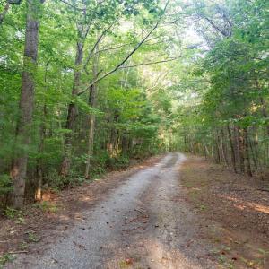 Photo #51 of 1269 Peters Creek, Big Island, VA 16.7 acres