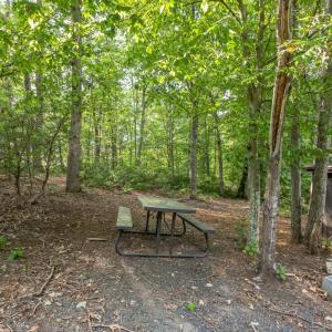Photo #31 of 2464 Kidds Dairy Road, Scottsville, VA 6.0 acres