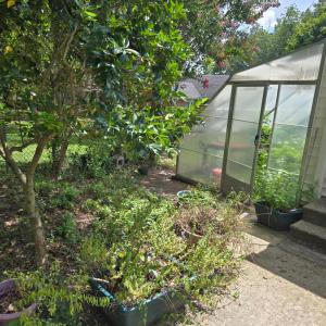 Photo #14 of 204 Fayette Street, Farmville, VA 0.5 acres