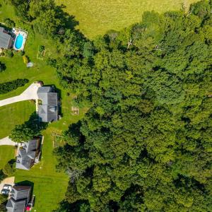 Photo #62 of 1004 Wildbriar Place, Forest, VA 0.9 acres