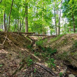 Photo #67 of 1004 Wildbriar Place, Forest, VA 0.9 acres