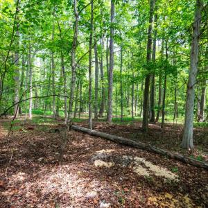Photo #66 of 1004 Wildbriar Place, Forest, VA 0.9 acres