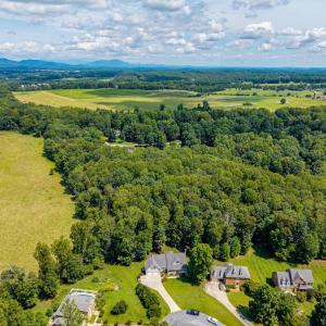 Photo #60 of 1004 Wildbriar Place, Forest, VA 0.9 acres