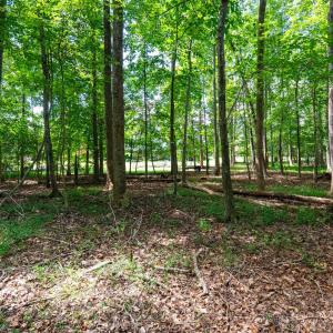 Photo #65 of 1004 Wildbriar Place, Forest, VA 0.9 acres