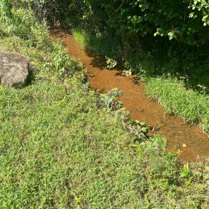 Photo #52 of 1182 Crest Ridge Drive, Bedford, VA 0.2 acres