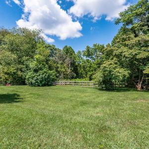 Fenced backyard