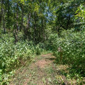Land behind backyard