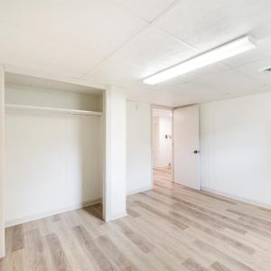 Below Grade Office or Craft Room