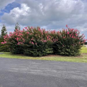Photo #90 of 126 Golf Course Trl, Amherst, VA 1.1 acres