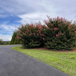 Photo #83 of 126 Golf Course Trl, Amherst, VA 1.1 acres