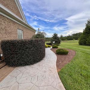 Photo #86 of 126 Golf Course Trl, Amherst, VA 1.1 acres
