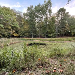 Photo #48 of 202 Longview Road, Hurt, VA 3.7 acres