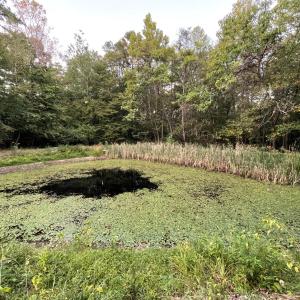 Photo #49 of 202 Longview Road, Hurt, VA 3.7 acres