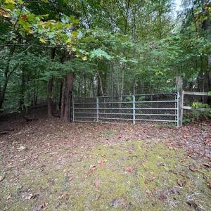 Photo #50 of 202 Longview Road, Hurt, VA 3.7 acres