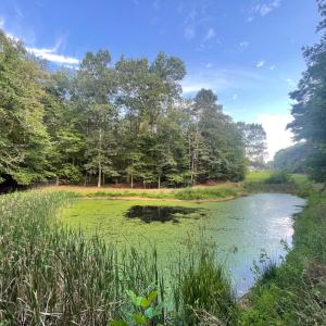 Photo #10 of 202 Longview Road, Hurt, VA 3.7 acres