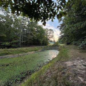Photo #12 of 202 Longview Road, Hurt, VA 3.7 acres