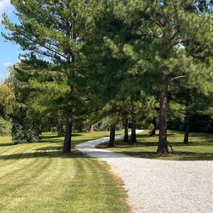 Photo #62 of 102 Fawn Ct, Amherst, VA 5.0 acres