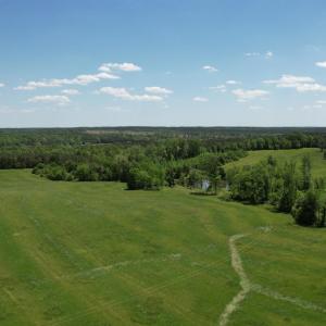 Photo #27 of 1501 Saxkey, Drakes Branch, VA 86.0 acres