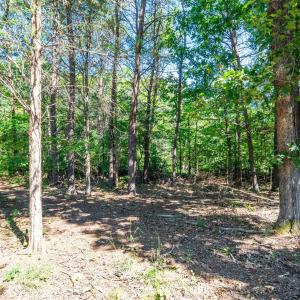 Photo #49 of 1101 Foxfire ln, Bedford, VA 4.9 acres