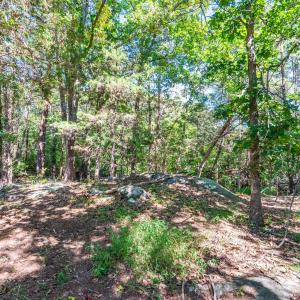 Photo #48 of 1101 Foxfire ln, Bedford, VA 4.9 acres