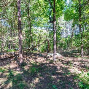 Photo #47 of 1101 Foxfire ln, Bedford, VA 4.9 acres