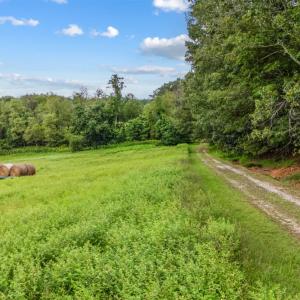 Photo #22 of 837 Gidsville Road, Amherst, VA 147.0 acres