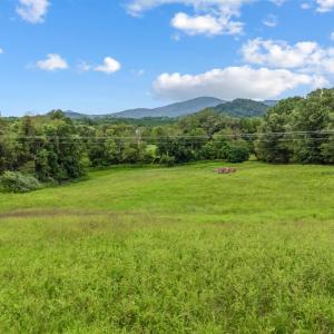 Photo #78 of 837 Gidsville Road, Amherst, VA 147.0 acres