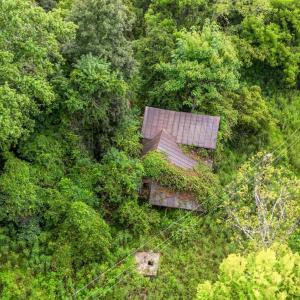 Photo #82 of 837 Gidsville Road, Amherst, VA 147.0 acres