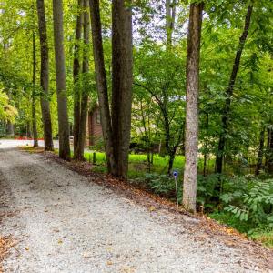 Photo #38 of 119 Stillwater Lane, Pittsville, VA 1.4 acres