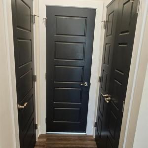 door to right is laundry closet w/ stacked washer/dryer included , door straight ahead is a half bath w/ granite countertop .The door to the left is a pantry closet