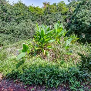 Photo #63 of 2710 Goode Station Road, Goode, VA 24.1 acres