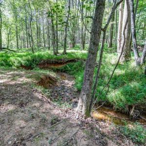 Photo #75 of 1480 Gilfield Drive, Forest, VA 1.7 acres