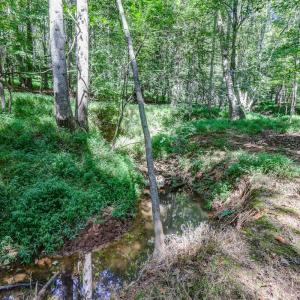 Photo #76 of 1480 Gilfield Drive, Forest, VA 1.7 acres