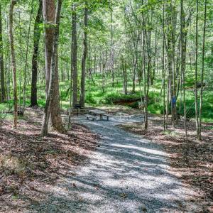 Photo #72 of 1480 Gilfield Drive, Forest, VA 1.7 acres