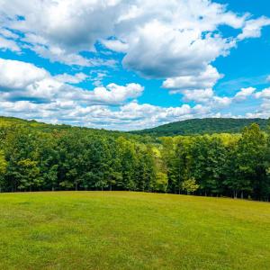 Photo #62 of 2821 Campbell Highway, Lynchburg, VA 92.5 acres