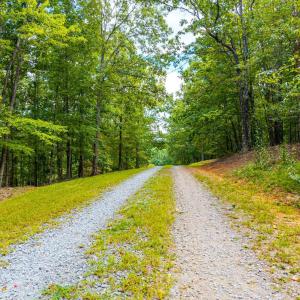Photo #71 of 2821 Campbell Highway, Lynchburg, VA 92.5 acres