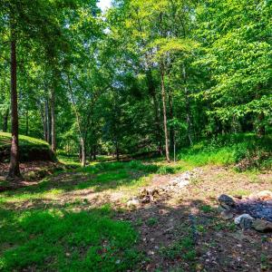 Photo #66 of 105 Raven Stone Court, Lynchburg, VA 0.8 acres