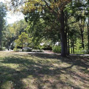 Photo #42 of 121 Gatlin, Lynchburg, VA 0.5 acres