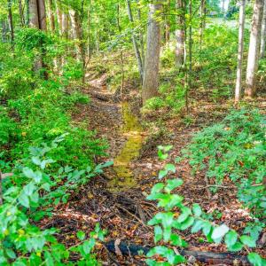 Photo #44 of 109 Blumont dr, Lynchburg, VA 1.2 acres