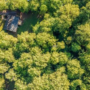 Photo #41 of 109 Blumont dr, Lynchburg, VA 1.2 acres