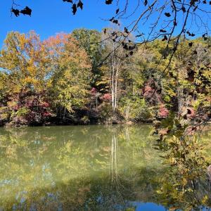 Photo #29 of 713 Leesville Lake Drive, Pittsville, VA 5.0 acres