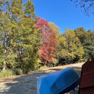 Photo #26 of 713 Leesville Lake Drive, Pittsville, VA 5.0 acres