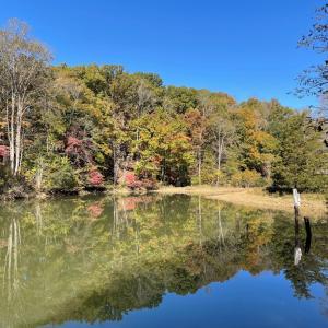 Photo #28 of 713 Leesville Lake Drive, Pittsville, VA 5.0 acres