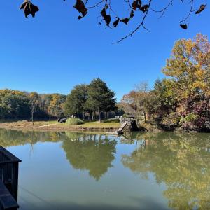 Photo #30 of 713 Leesville Lake Drive, Pittsville, VA 5.0 acres