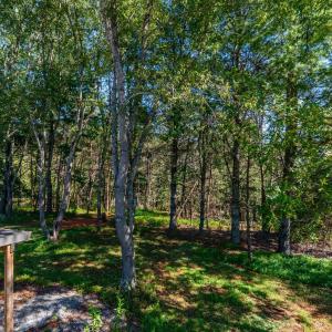 Photo #48 of 233 Saddleback, Monroe, VA 8.7 acres