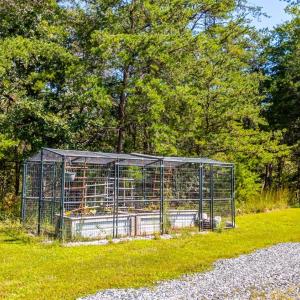 Photo #54 of 233 Saddleback, Monroe, VA 8.7 acres