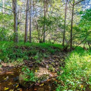 Photo #50 of 233 Saddleback, Monroe, VA 8.7 acres
